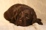 IMG_2835.jpeg