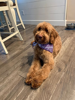 Copy of IMG_0590.JPG