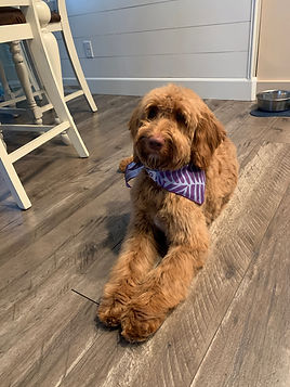 Copy of IMG_0590.JPG