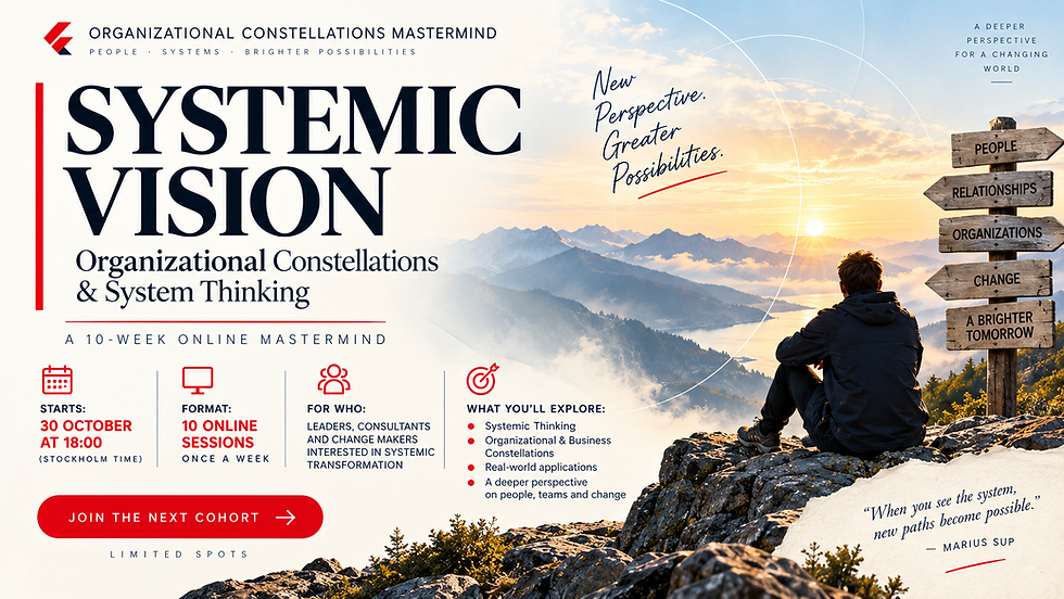 Systemic Vision Mastermind by Marius SUP
