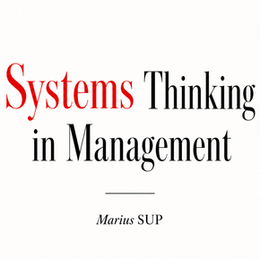 Systems Thinking in Management