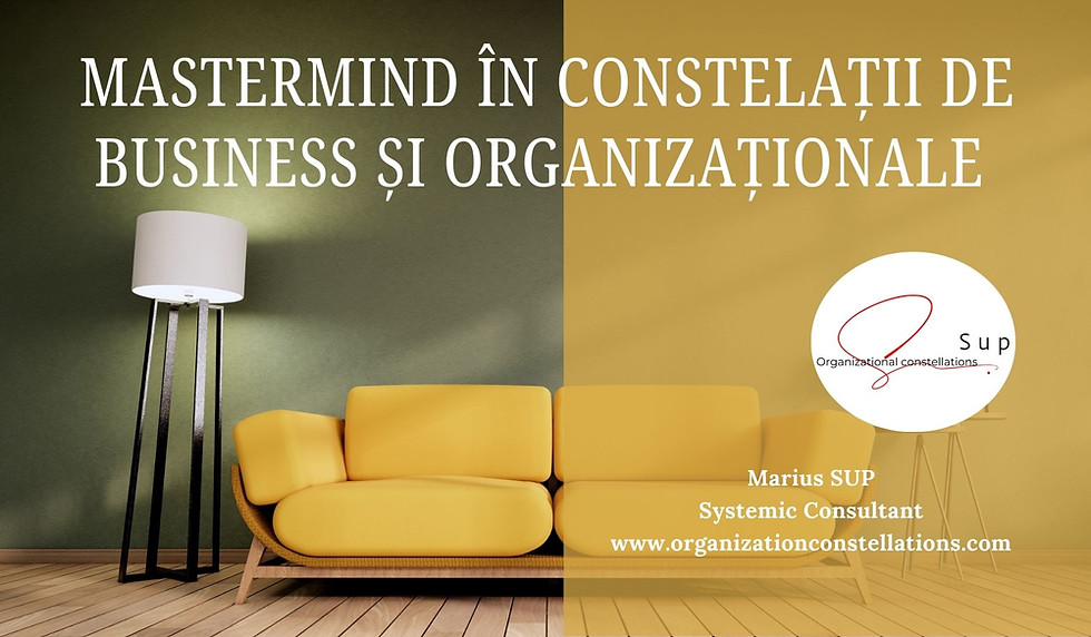 Mastermind Viziune Sistemică în Business și Organizații.jpg