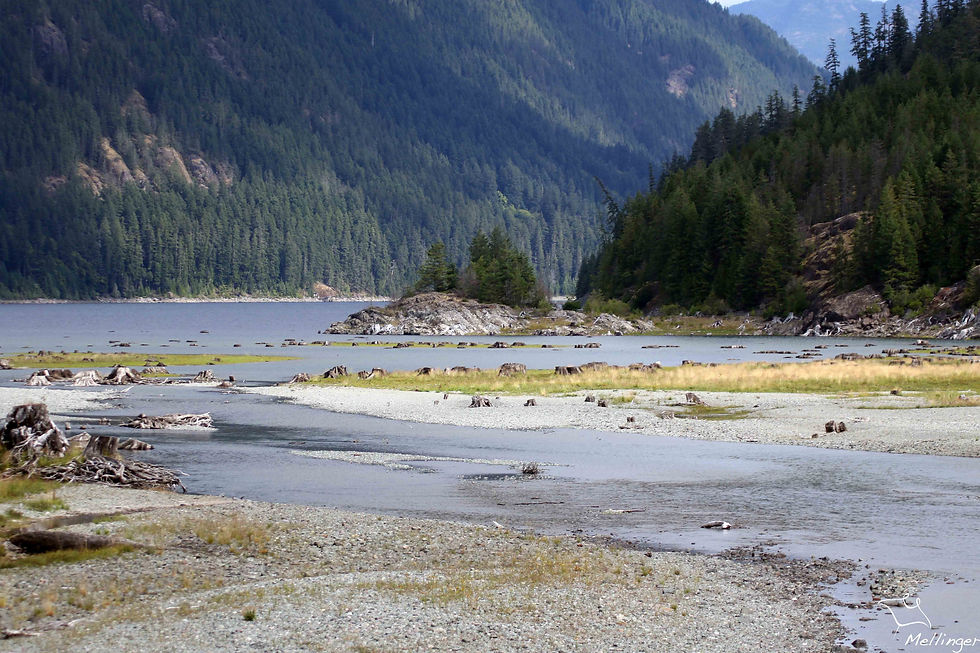 Strathcona Provincial park
