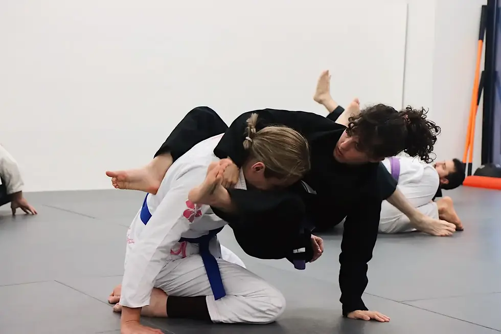 Adults training Brazilian Jiu Jitsu at Liberdade BJJ in Nashville during an evening class.