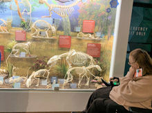 IMG_7104_202301141126022_live (2).jpg