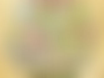 Гадание по кругу Мишеля Нострадамуса