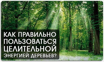 Медитация на наполнение энергией деревьев и исцеление от болезней