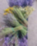 IMG_20210610_192823_edited.jpg