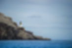 Bass Rock (Escocia)