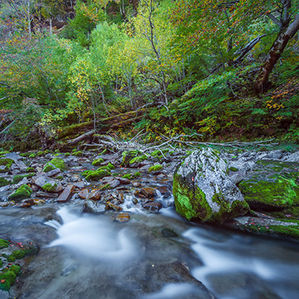Otoño en el Pirineo aragonés: la estación de la pasión.