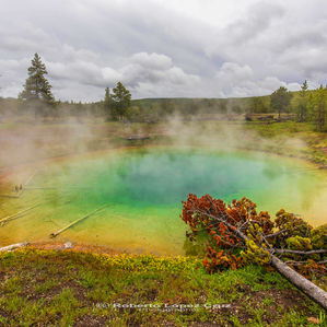 Yellowstone N.P.: Al menos una vez en la vida.