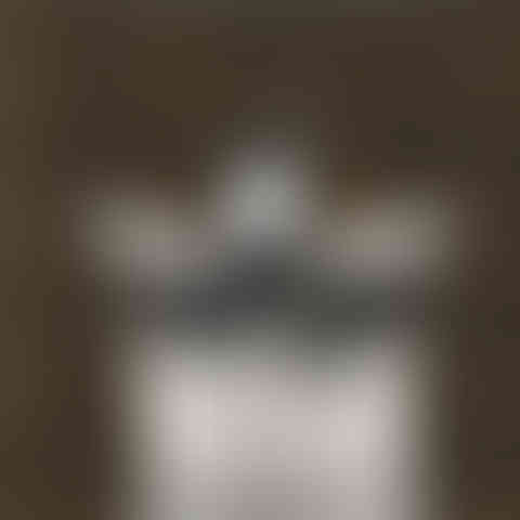 Louise Bourgeois wears Louis Vuitton