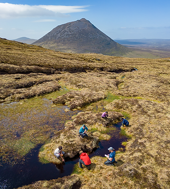 UHI - Image 1 (1).png