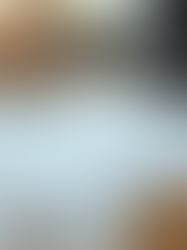 Guía que explica cómo solicitar cotizaciones precisas de seguros de título, incluidos los documentos requeridos, los factores de fijación de precios y los pasos de comparación.