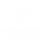 TEX_SQS_logo.png