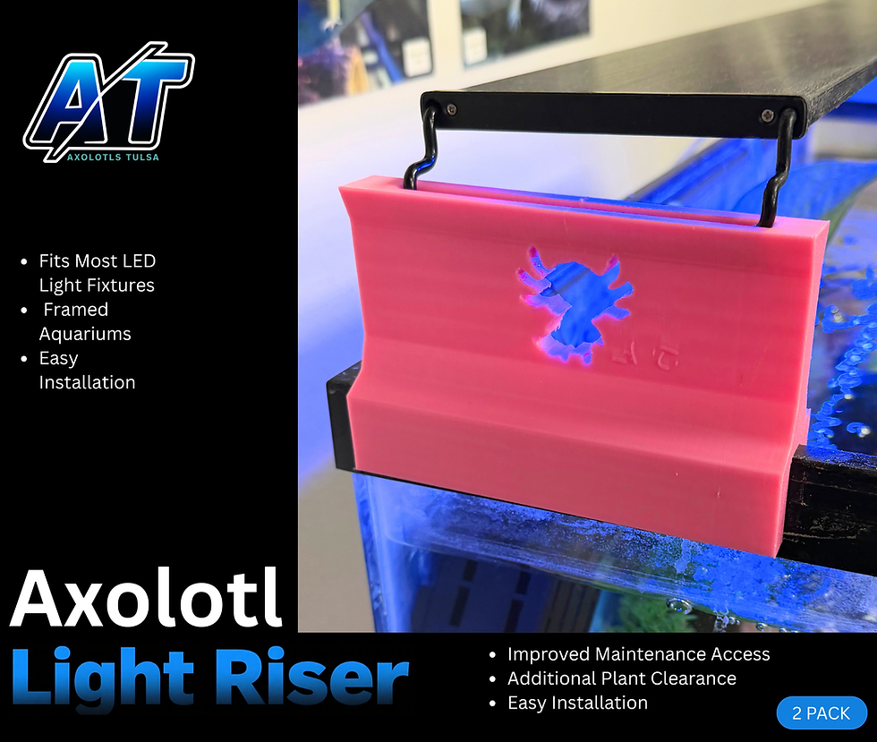 Thumbnail: Axolotl Light Riser