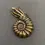 Thumbnail: Brass Nautilus