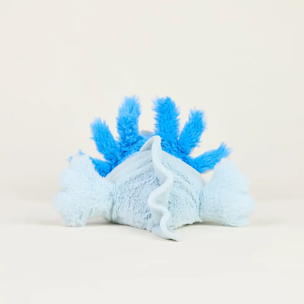 Thumbnail: Blue Axolotl Warmies