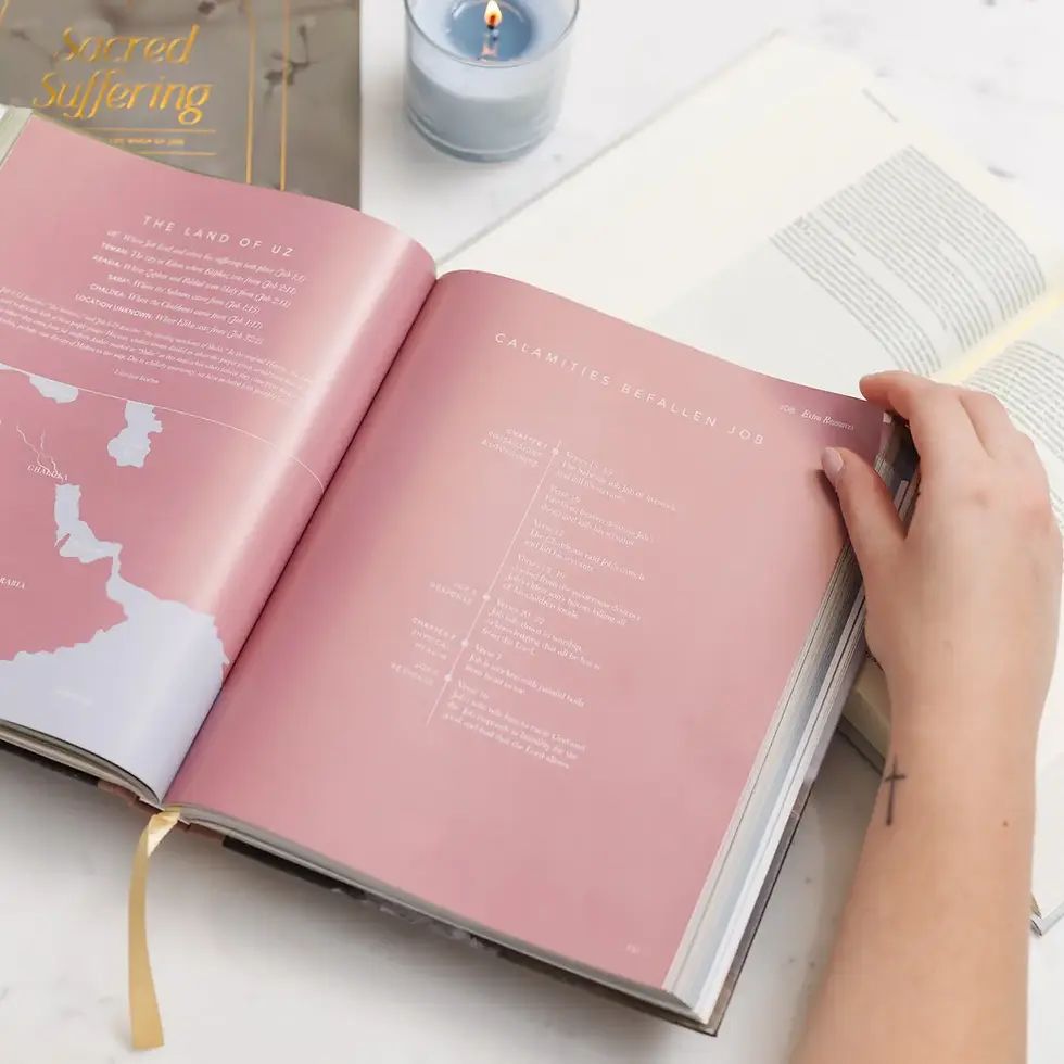 Thumbnail: The Bible Handbook: A Book-By-Book Guide To the Entire Bible
