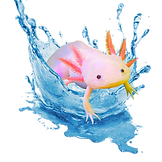 Untitled design-63_edited_edited.png