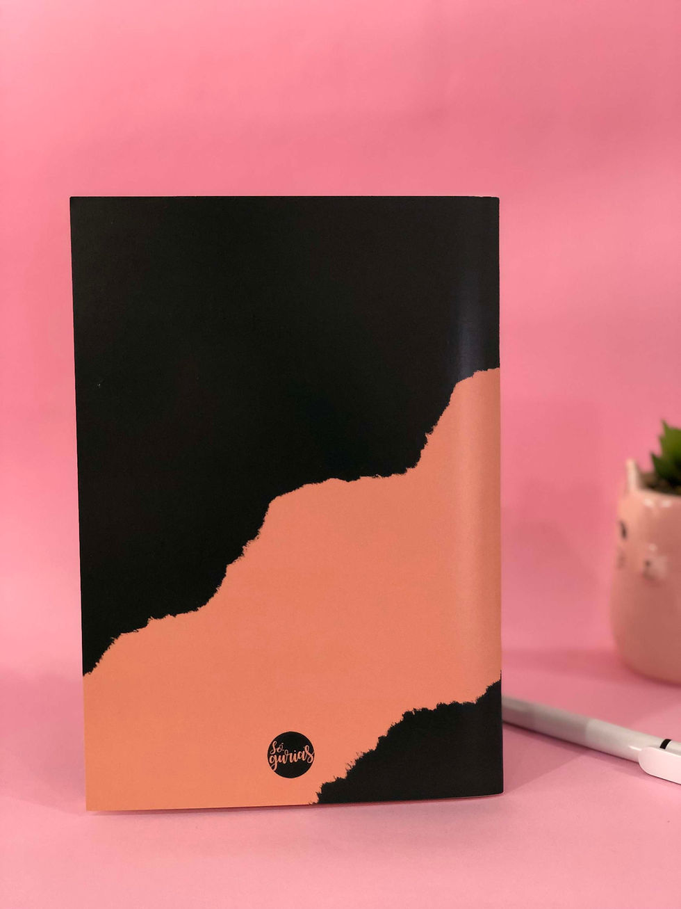 Miniatura: CADERNO DE ANOTAÇÕES