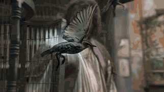 Da Vinci's Demons - Season One