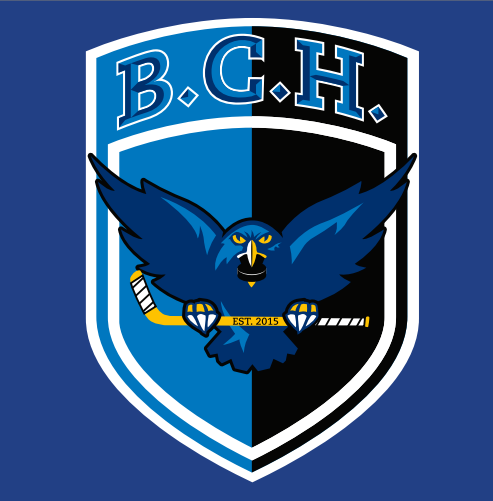 Official Website Of The Bentley University Club Hockey Team