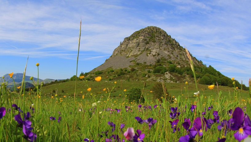 Mont Gerbier de Jonc