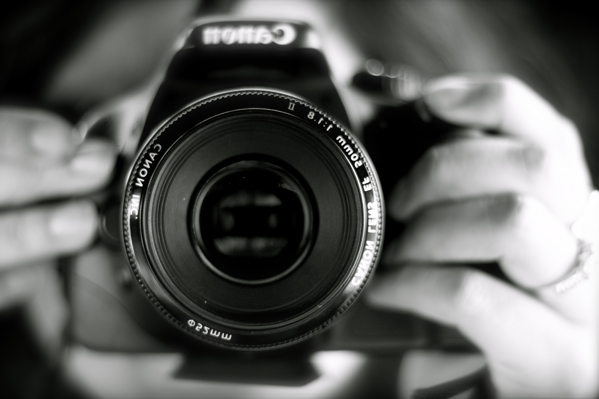 Macro Photo