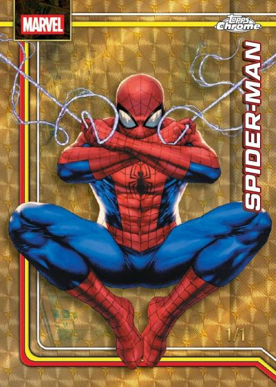 spider1of1.jpg