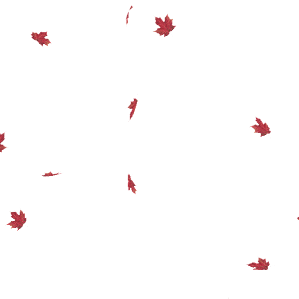 ezgif.com-gif-maker (4).gif