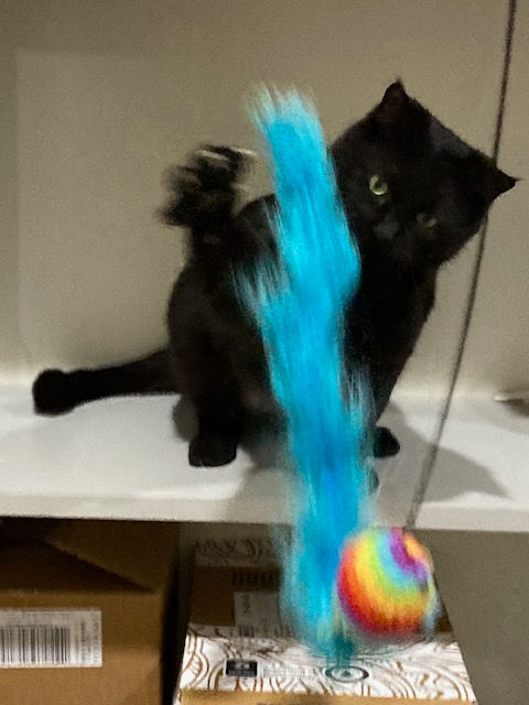 Thumbnail: Kiki