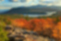 Catskills.jpeg