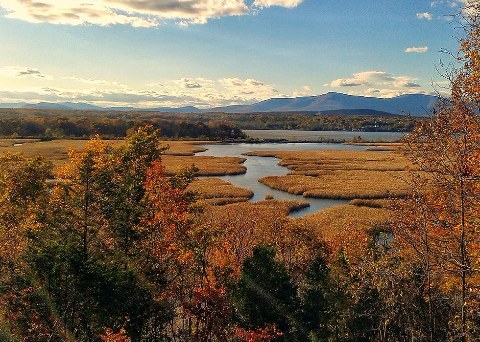Tivoli Bays.jpeg