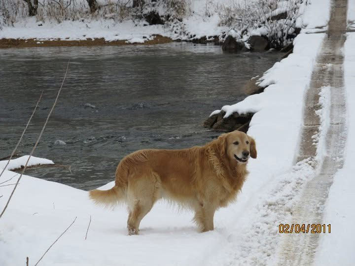 Somewhere Between Then and Now