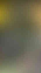 The next book is 'The Devil's Feather' written by minette Walters is a thriller about murder, psychopaths and wrongful imprisonments. The reason I picked up this book was because, when flicking through, I saw that the writing was written in first person but also through emails and reports, which I found interesting. This book is rated 5/5 again, for obvious reasons.