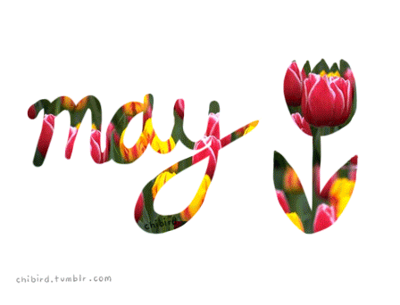 hello may.gif