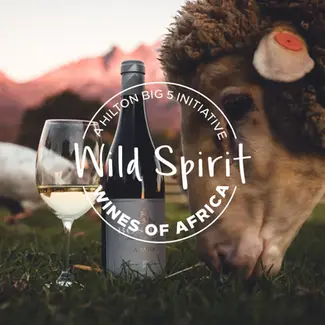 Wild Spirit Wines of Africa | The Power of Purpose