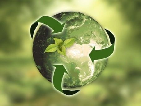 5 Pequenas atitudes que tornam a vida mais sustentável