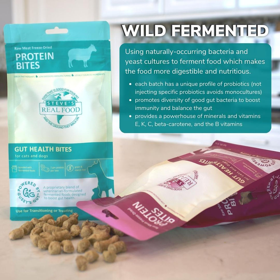 Thumbnail: Steve's Real Food - Protein Bites