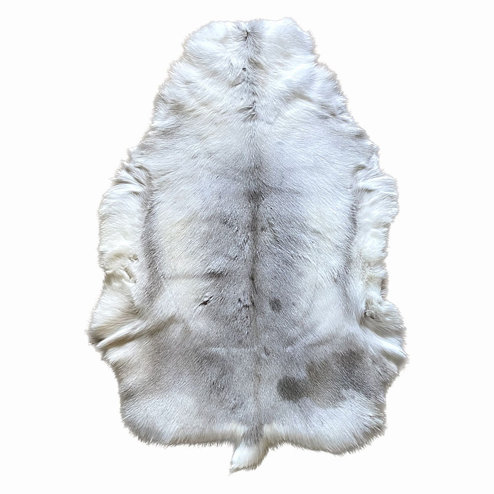 Reindeer Rug - White (128cm by 76cm)