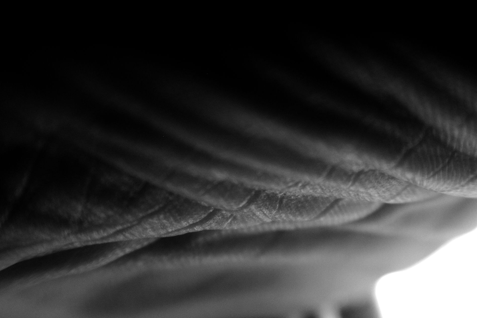 file001060