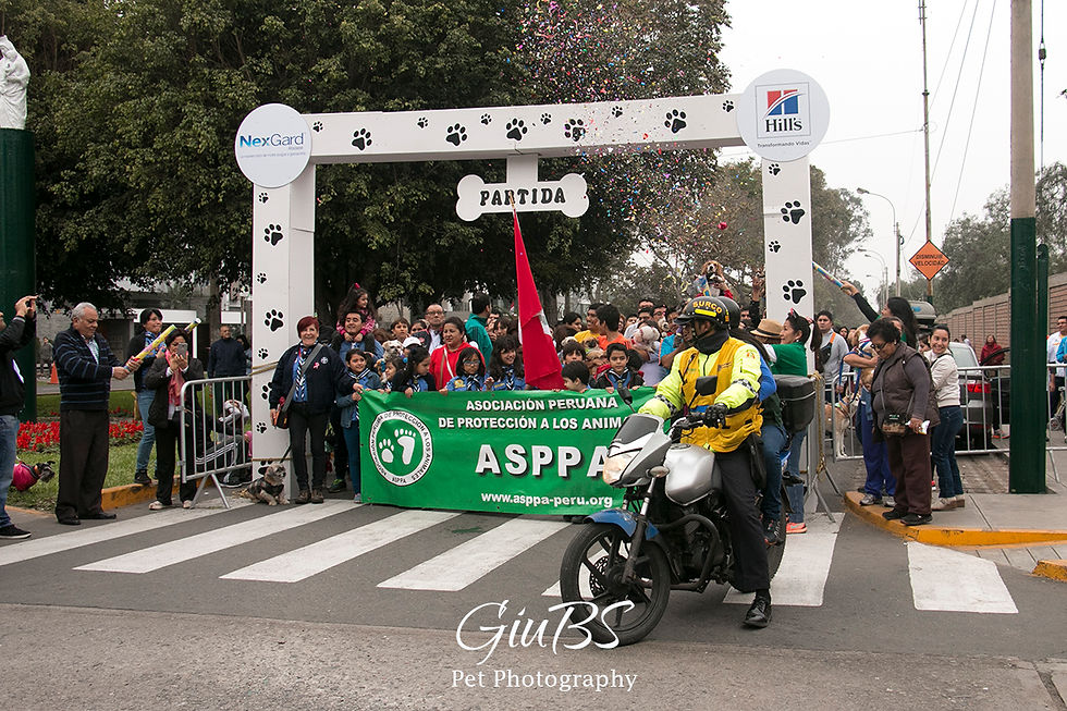 giubs Pictures_0443