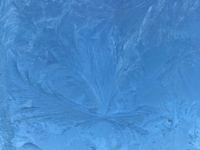 January 31, 2020 Friday