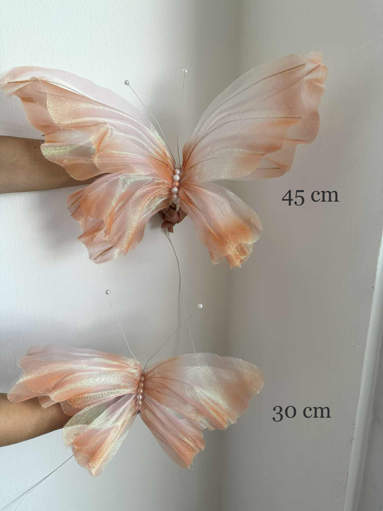 (For RENT) 45 cm Butterfly