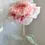 Thumbnail: (Ultimate Package) The Lighting Organza Garden