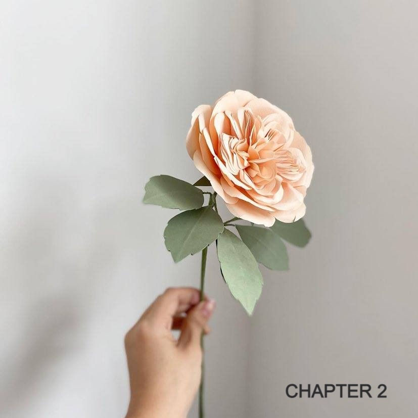 Thumbnail: [Bundle Sale] Multiple Chapters
