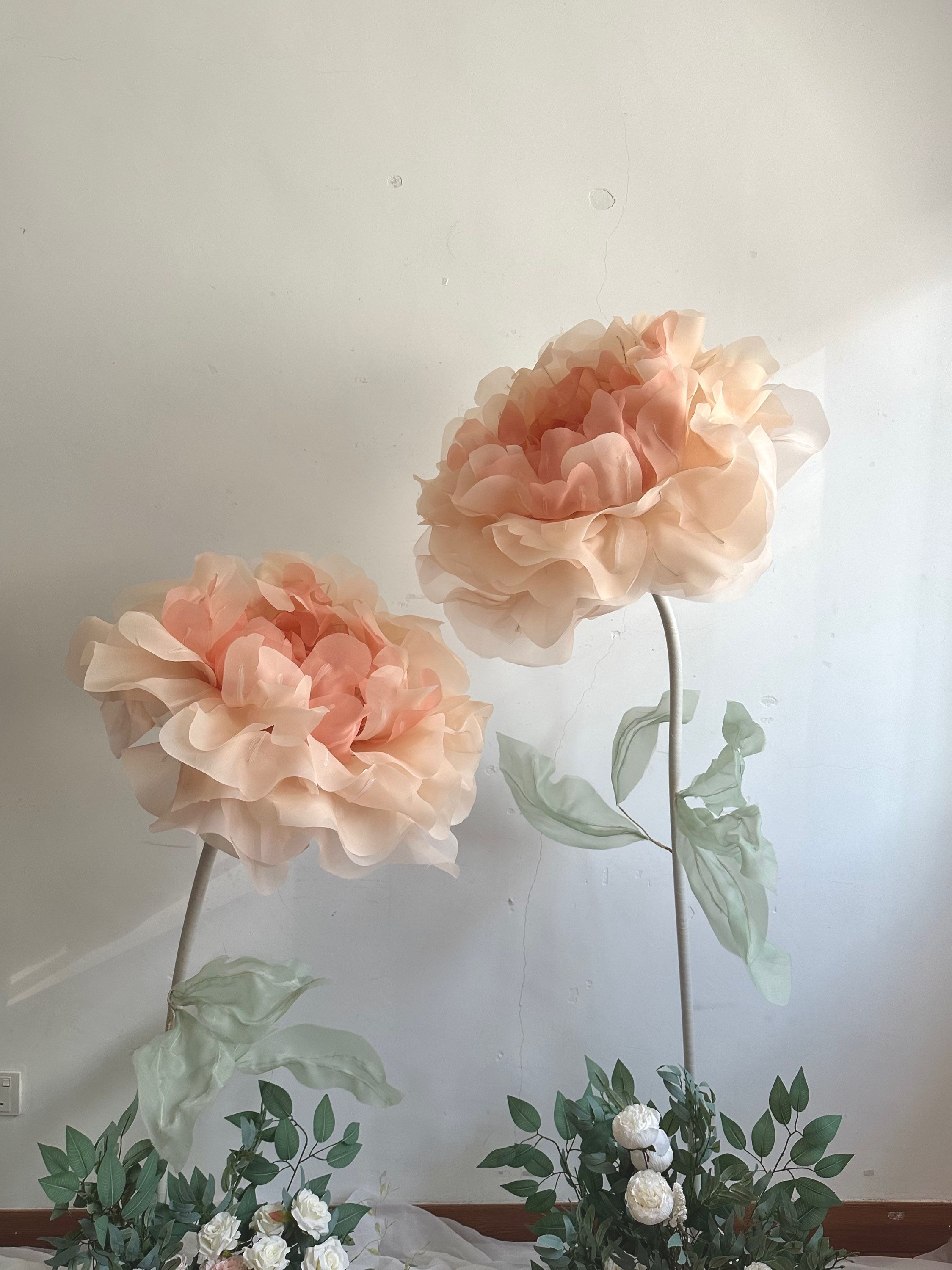 (Package) The Light Peach Peony Garden