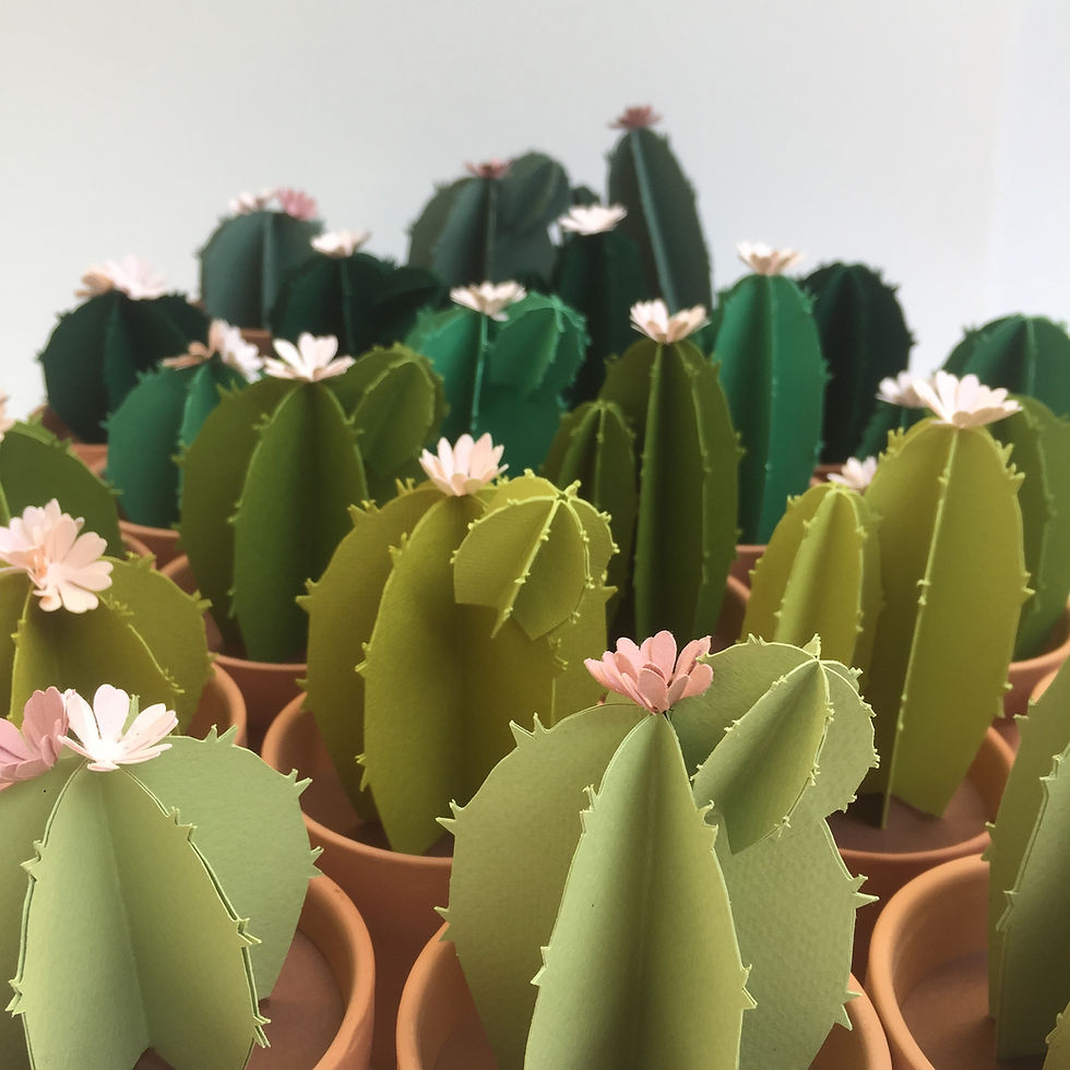 Thumbnail: Potted Cactus