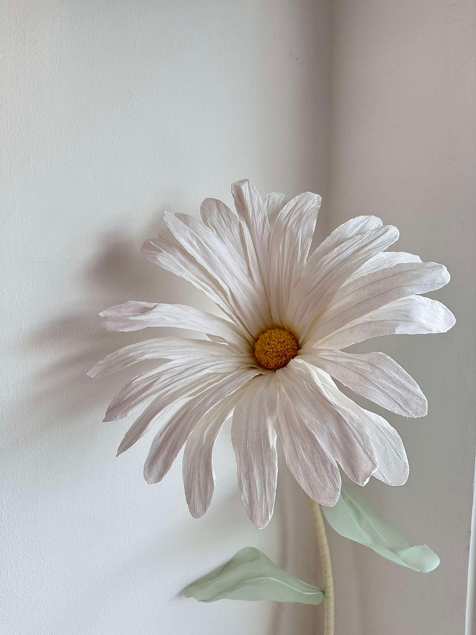 Thumbnail: (Package) Purple & Yellow Gerbera Daisy Garden Garden